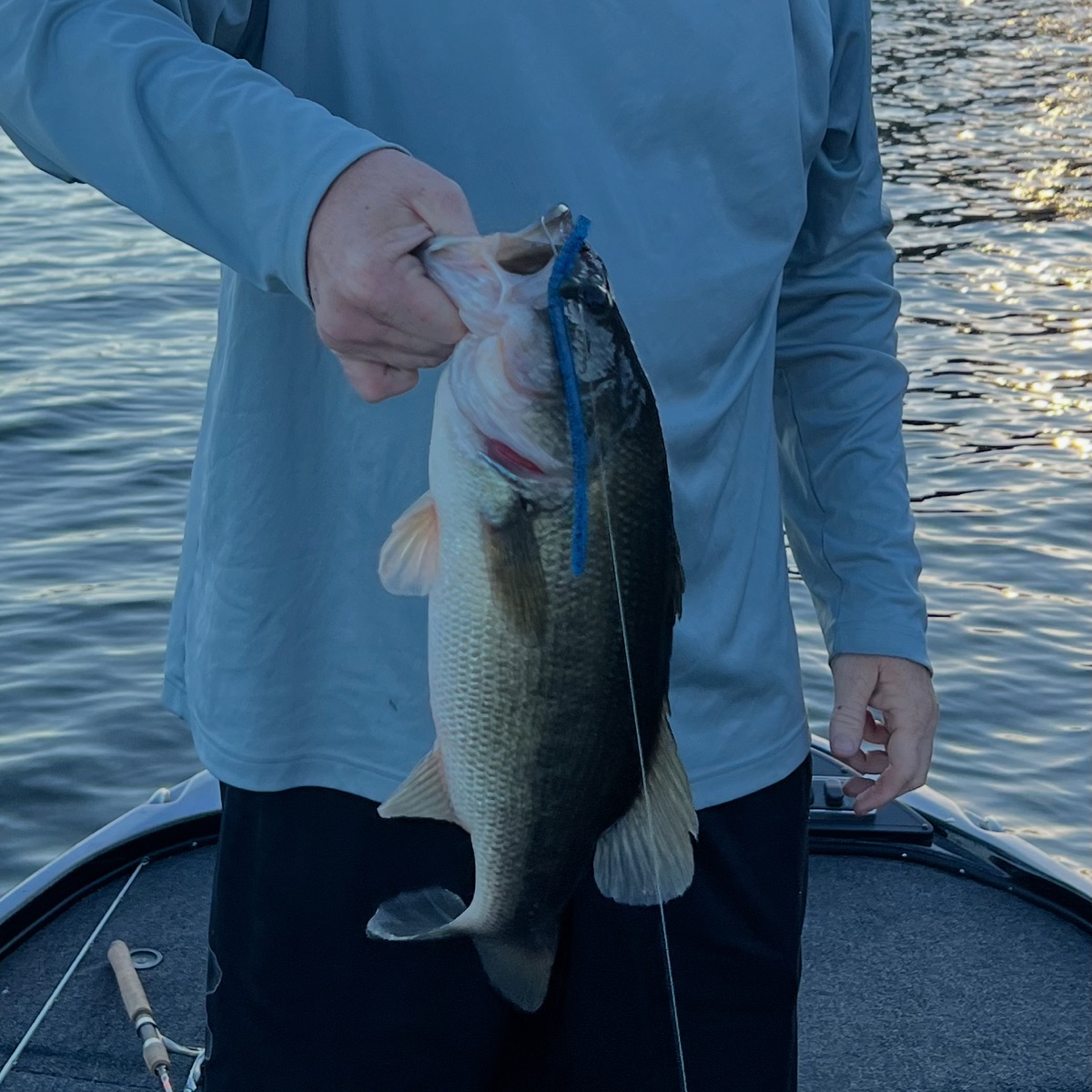Angler holding bass caught on WiCo lure Lake Wylie